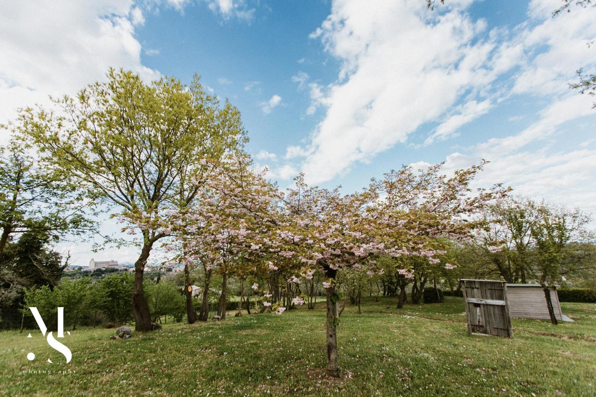 Rara Factory Design House Orvieto Exterior foto